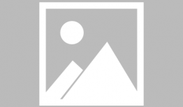 萧麻豆,揭秘古代传奇豆类的传奇故事